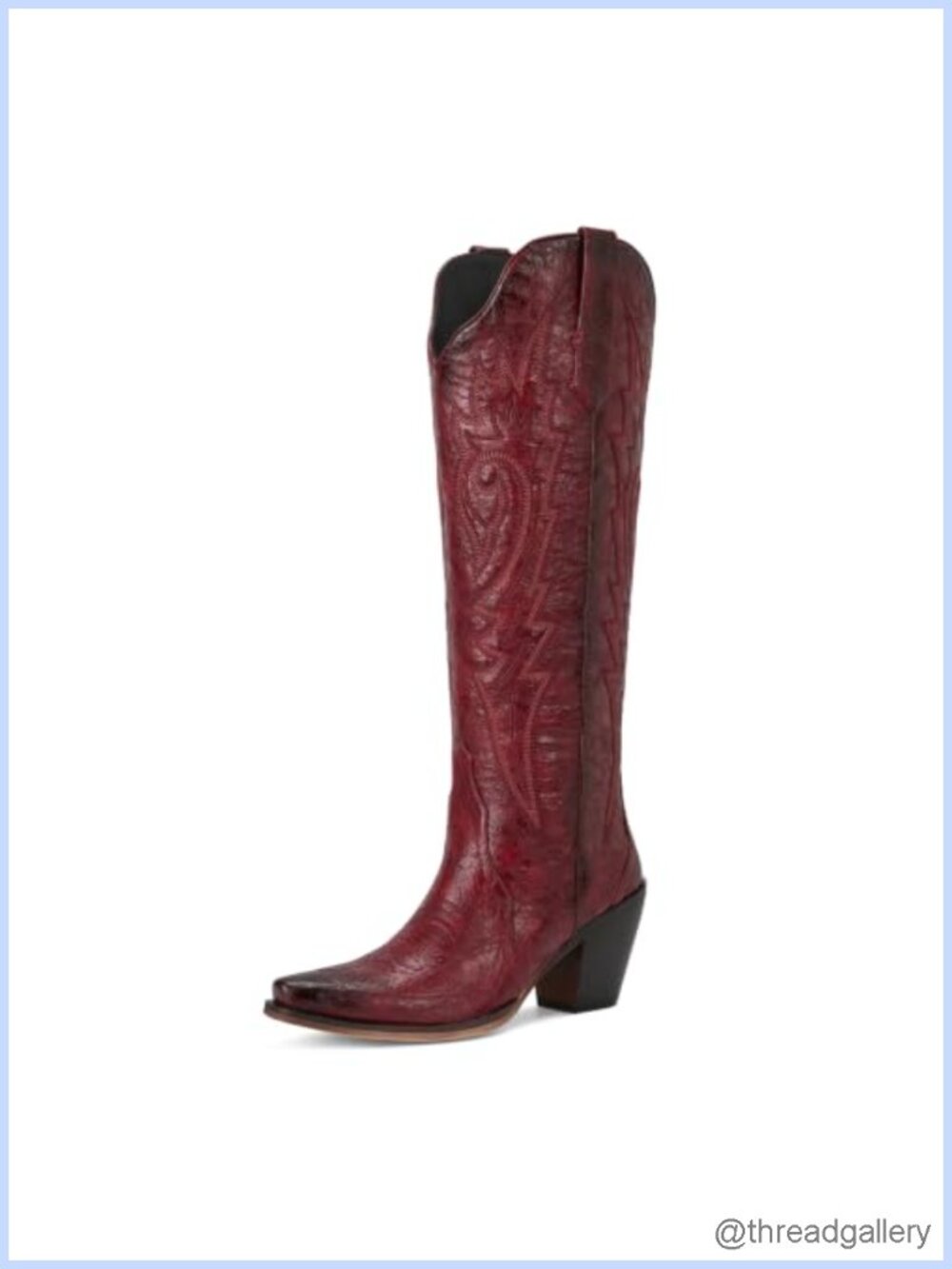 Wetkiss Cowboy Knee High Boots Snip Toe Western Wing Embroidery Faux Leather